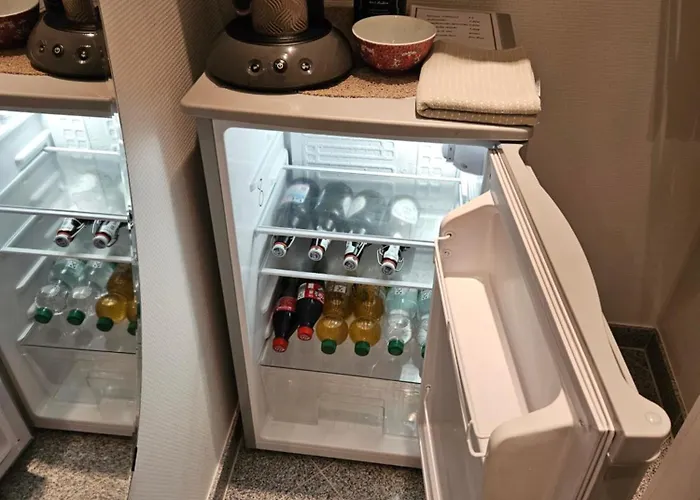 Standardzimmer Nahe Messe Und Airport * Ντίσελντορφ